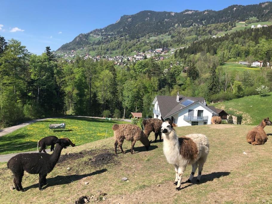 Отель Jurte Beim Lama- & Alpakahof Тризенберг Экстерьер фото